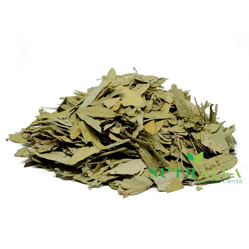 High Quality Dried Senna Tea Dried Senna Leaves Best Price for Making Slimming Herbal Tea in Bulk