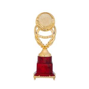 Coupe de trophée en métal de championnat pour le cricket, récompense sportive, objet de collection, cadeau commémoratif pour le gagnant du tournoi et les événements de club - Product Image 1