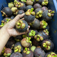 Verse Biologische Mangosteen Thailand - Koningin van de Vruchten Volle Smaak Zoet Gezonde Voordelen Graad 8kg Doos 1-2 Weken Houdbaarheid Khey