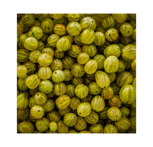 Fournisseur indien 100% pur naturel biologique Extrait de Bhumi Amala Phyllanthus Niruri Ingrédient à base de plantes de qualité supérieure pour l'exportation - Product Image 3