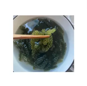 海葡萄用酱油定制健康零食纸盒包装批发产品越南制造海藻制造商