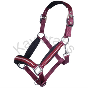 Collier de tête de cheval en polypropylène rembourré avec ajustement réglable et raccords argentés - Product Image 1