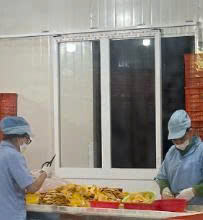 Tiras de mango secas naturales de Vietnam, calidad de exportación, textura suave, producto de aperitivos de frutas tropicales, Mango Seco de Vietnam - Product Image 5