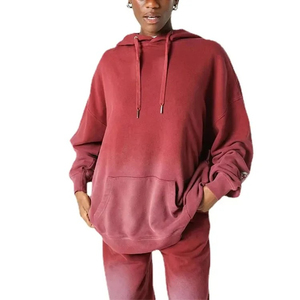 100% coton coréen français Terry doux Streetwear sweats à capuche amples pour dames luxe 500 GSM haute qualité hiver printemps haut à capuche - Product Image 1