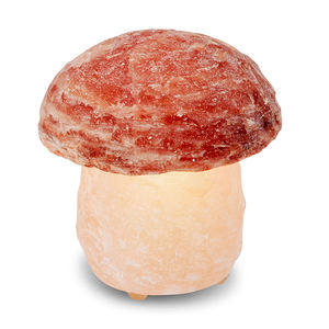 Anwar Enterprises Decorative Mushroom-Shaped Himalayan Salt Lamp Polished and Carved with Floral Catcher Styles - Product Image 4