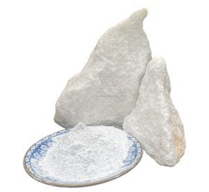 Poudre de carbonate de calcium industrielle pour les bouchons de bouteilles en plastique, les fermetures et les accessoires d'emballage - Product Image 6