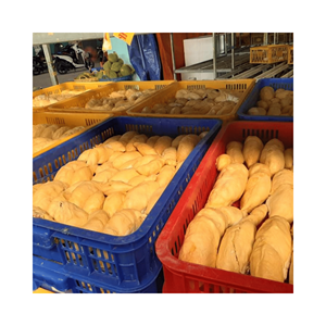 Demi-coquille de Durian congelé, matériau: fruit de durian naturel; utilisation: présentoir de buffet et boîtes à cadeaux; origine: Vietnam, marque privée - Product Image 1