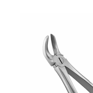 Instruments dentaires Forceps d'extraction de dents pour adultes à usage intensif Set dentaire Instruments chirurgicaux - Product Image 2