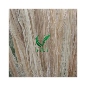 Fibre de banane naturelle du Vietnam abordable et de qualité supérieure pour les cordes et les ficelles - Product Image 2