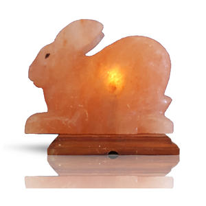 Meilleures ventes de lampes au sel en forme d'animal fabriquées à la main sur mesure paquet complet nouveau design de lampes au sel de l'Himalaya en forme d'animal - Product Image 6