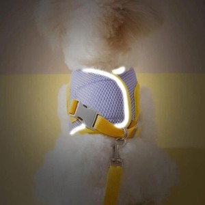 Ensemble laisse et harnais pour chien en polyester/nylon, réfléchissant, réglable, durable, avec lumières, motif animal, style classique et doux, fabriqué au Vietnam - Product Image 5