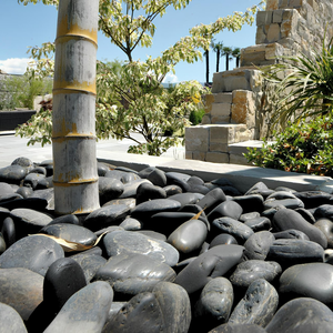 Ciottoli di Ebano Naturale, Pietre Nere per Decorazione Giardino, Aiuole e Vasi, Formato 40/60, Confezione da 5kg - Product Image 5