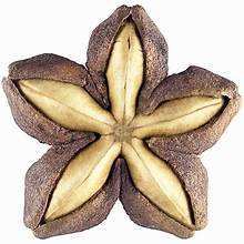 ÉTIQUETTE NATURELLE DE NETTOYAGE D'HUILE DE SACHI TENEUR ÉLEVÉE EN OMÉGA POUR LA SANTÉ IMMUNITAIRE FONCTION DU CERVEAU ET UN RÉGIME VÉGAN À BASE PUREMENT DE PLANTES - Product Image 2