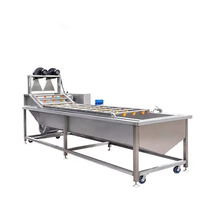 Bevroren Groentewasmachine Fruitgroente Sorteermachine Tomaat Sorteermachine Sorteermachine