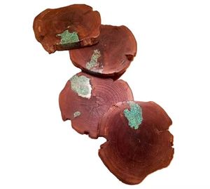 Natural <b>Polished</b> Rough Stones fossil Wood Slab Specimen Petrified Wood Slice for Decoration - Product Image 3