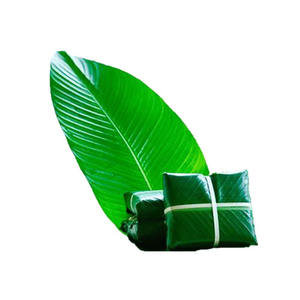 HOJAS DE FRINIO NATURALES/GRADO CONGELADO/LISTO PARA USAR PARA ENVASAR Y EXPORTAR ALIMENTOS - Product Image 1