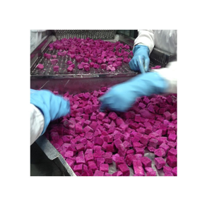 Fruta de dragón congelada tropical variedad roja y blanca carne suave dulce para postre de jugo y uso en el mercado de exportación - Product Image 2