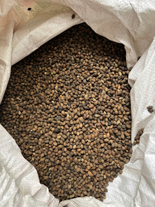 VENTE FLASH Graines de papaye séchées de qualité supérieure Blue Lotus 2025 Source naturelle d'enzymes digestives - Product Image 4