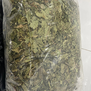 Hojas de Papaya Secas de Vietnam, Carica Papaya para Procesamiento de Té, Venta al por Mayor Directa de Fábrica, OEM y Empaque a Granel - Product Image 1