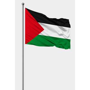 Drapeau de Palestine pour l'extérieur, imprimé numériquement, en aluminium, plastique ou soie, pour voitures ou drapeau de plage - Product Image 1
