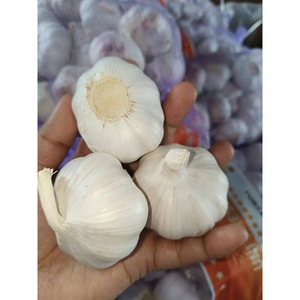 Best Quality <b>Fresh</b> Natural <b>Garlic</b> New Crop <b>Fresh</b> Normal White <b>Garlic</b> - Product Image 3