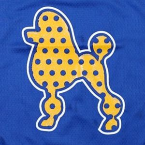 Sigma Gamma Rho SGRho Greek Sorority Kids Fútbol Jersey Azul Oro 100% Poliéster con logotipo del equipo Frente Atrás Hombro Bordado - Product Image 6