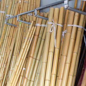 Best Seller- Cheap Price <b>Garden</b> Dried Bamboo Cane Bamboo Stick Bamboo <b>Pole</b> <b>for</b> Planting - Product Image 1