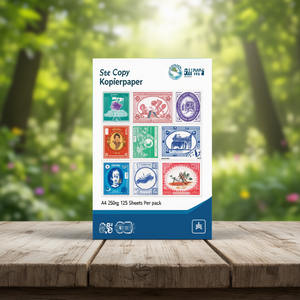 Papier copie couleur A4 250g 125 feuilles par paquet - Product Image 3