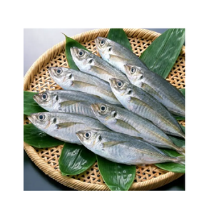 Mejor Precio de Fábrica: Pescado Congelado, Caballa Española Entera, en Venta - Product Image 5