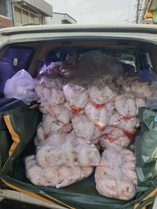 ไก่แช่แข็งฮาลาลคุณภาพสูง เกรดคุณภาพสำหรับการตัดแปรรูป บรรจุภัณฑ์แบบขายส่ง - Product Image 6