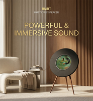 Enceintes sur pied avec affichage de paroles personnalisées et éclairage RGB, système audio Hi-Fi de luxe pour home cinéma