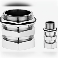 Presse-câble à double compression antidéflagrant et ignifuge IIC IP66 en laiton M25 pour zone dangereuse Ex d AEFP série IIC