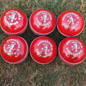 Nuevo cuero superior de alta calidad Kookaburra 156G máquina Stitch Cricket Balls - Product Image 1