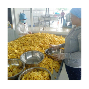 ชิปขนมขนุนกรอบแช่แข็งแบบแห้งเกรดพรีเมี่ยมจากเวียดนาม - Product Image 1