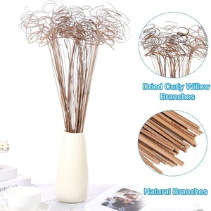 Palm Ting Flor seca decorativa con rellenos de vaso de diferentes tamaños - Product Image 5