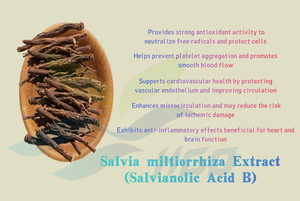 Approvisionnement direct d'usine HGO d'extrait de Salvia miltiorrhiza naturel pur (qualité alimentaire santé) spécification acide salvianolique B 60% - Product Image 5