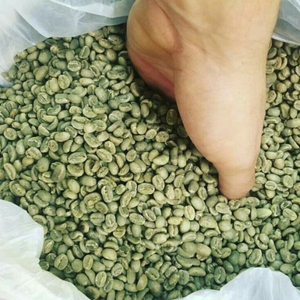 Pantalla de granos de café Robusta de alta calidad de grado A + de Vietnam, muestra gratis de la marca DA LOC BIEN de café verde 18 - Product Image 3