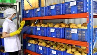 Puré de Mango 100% Natural, Recién Exprimido, Bajo en Carbohidratos, Lata de 12 oz, Marca Vietnam
