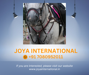 Peto de caballo de cuero Rosa, con relleno, cinco puntos - Product Image 2