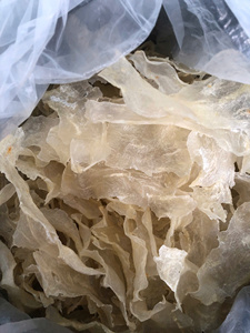 ปลากระเพาะแห้งเวียดนาม ตากแห้งโดยไม่ใส่น้ำมัน ทำจากปลาปังกัสซิอุส ไซส์ 5 ถึง 30 ซม. ราคาสุดคุ้มจาก 99GD - Product Image 5