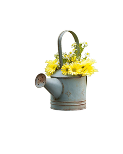 Galvanized Watering Can with Stylish Design Perfect <b>for</b> Indoor and Outdoor Plant Growth <b>Gardening</b> Supplies Durable Elegant <b>Tool</b> - Product Image 1