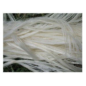Cuerda de Fibra de Sisal Blanqueada Natural para Hilado y Relleno, Ecológica, Grado de Exportación - Product Image 3