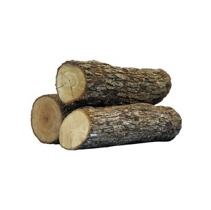 Fresh Cut Oak Wood Round Logs - Wholesale Price, Large Quantity Available - Product Image 2