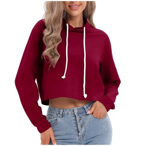 Pull à capuche à manches longues respirant de couleur unie pour femmes style décontracté avec badge de broderie 3D pour le printemps vente en gros - Product Image 1