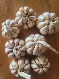 Ajo Seco Vietnamita Único de An Giang 100% Natural 12 Meses de Vida Útil Listo para Usar para Exportación al por Mayor - Product Image 4