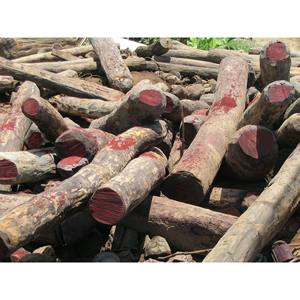 Azobe Wood <b>Logs</b> Premium Hardwood, Durable and Heavy-Duty for Construction - Product Image 2