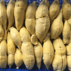 FRUITS DURIAN ENTIERS CONGELÉS | PAQUET D'EXPORTATION EN VRAC DU VIETNAM - Product Image 5