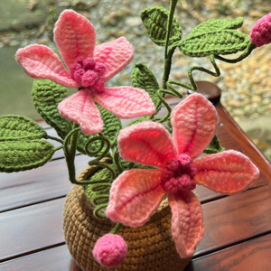 ดอกไม้ถักโครเชต์แฮนด์เมดสำหรับใส่กระถางดอกไม้ประดิษฐ์เป็นของขวัญให้เพื่อนสมบูรณ์แบบสำหรับตกแต่งบ้านผลิตในเวียดนาม - Product Image 3