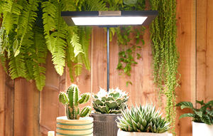 ROKI 350 Luces LED de jardín ligeramente en ángulo Paneles solares Diseño moderno con costo razonable Vendedores completos - Product Image 3