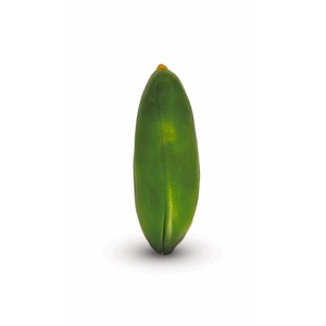 Acheter des pistaches de qualité supérieure en stock noix vertes naturelles avec livraison rapide et prix de gros incroyable - Product Image 6